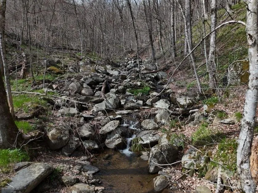 155 Mule Trail Drive Bakersville, NC 28705
