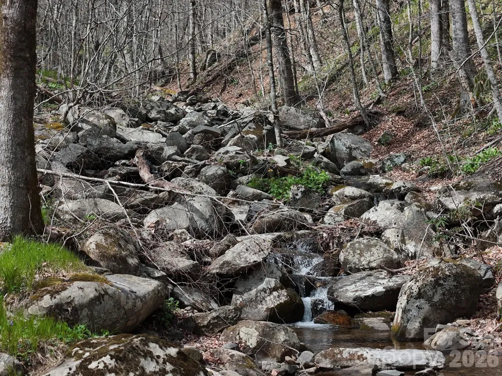 155 Mule Trail Drive Bakersville, NC 28705