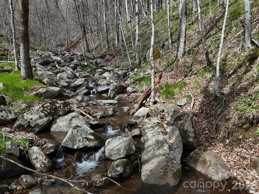 155 Mule Trail Drive Bakersville, NC 28705