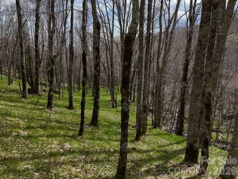 155 Mule Trail Drive Bakersville, NC 28705