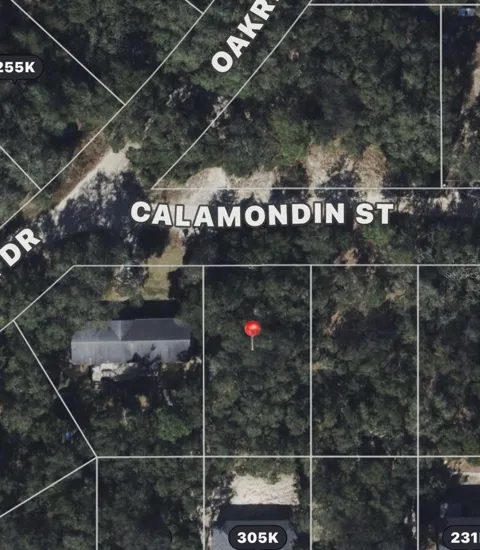 CALAMONDIN ST