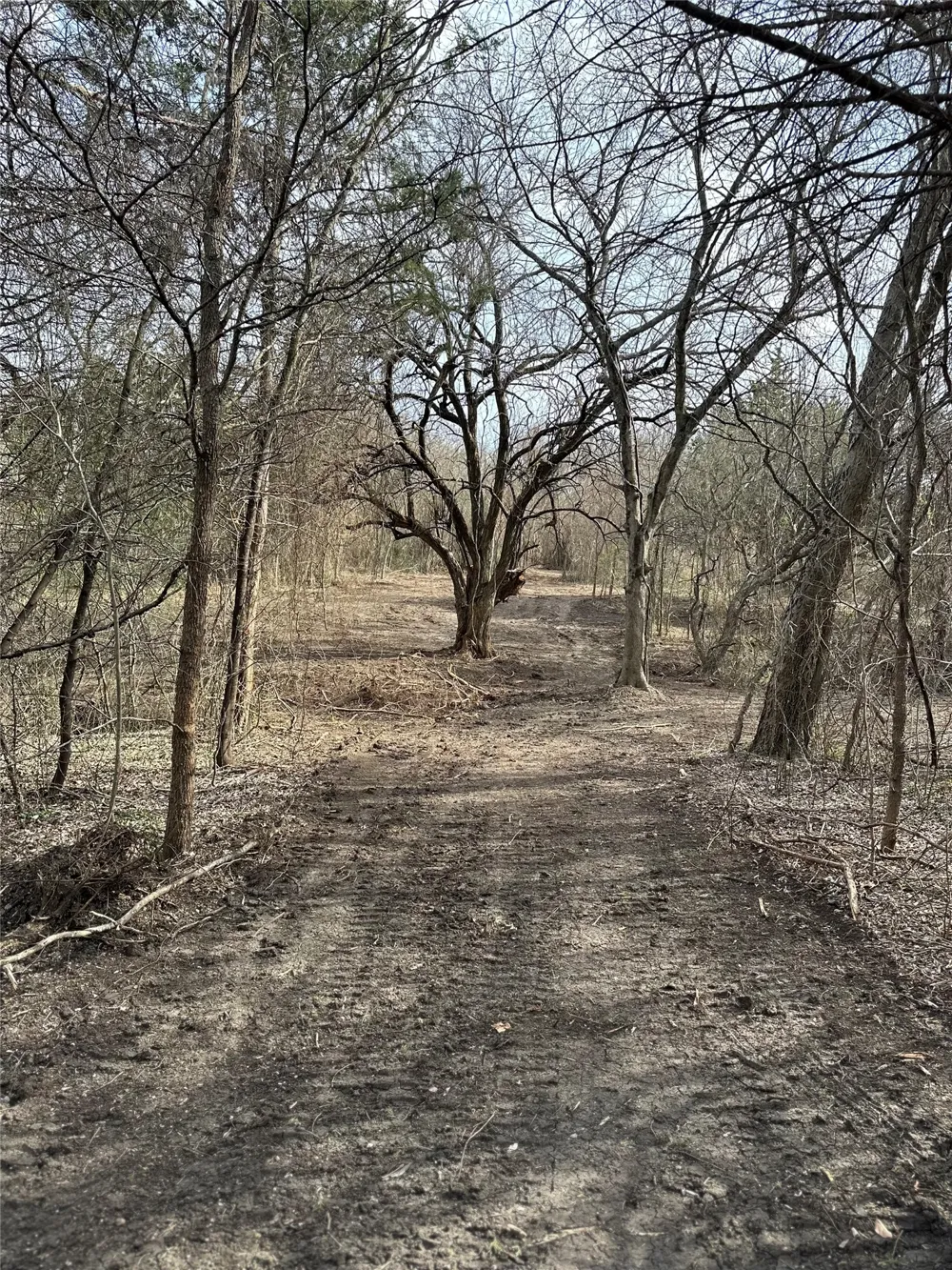 Sandswitch Road Ennis, TX 75119