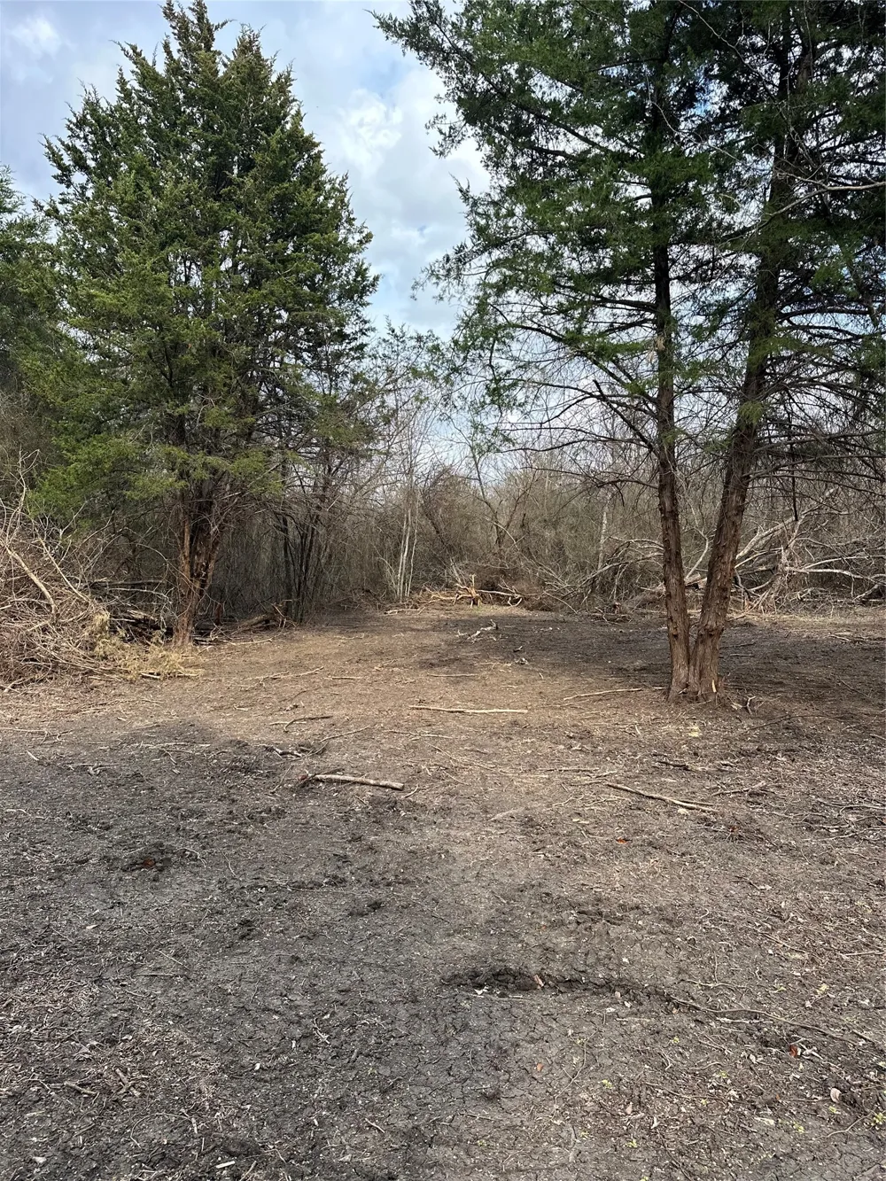 Sandswitch Road Ennis, TX 75119