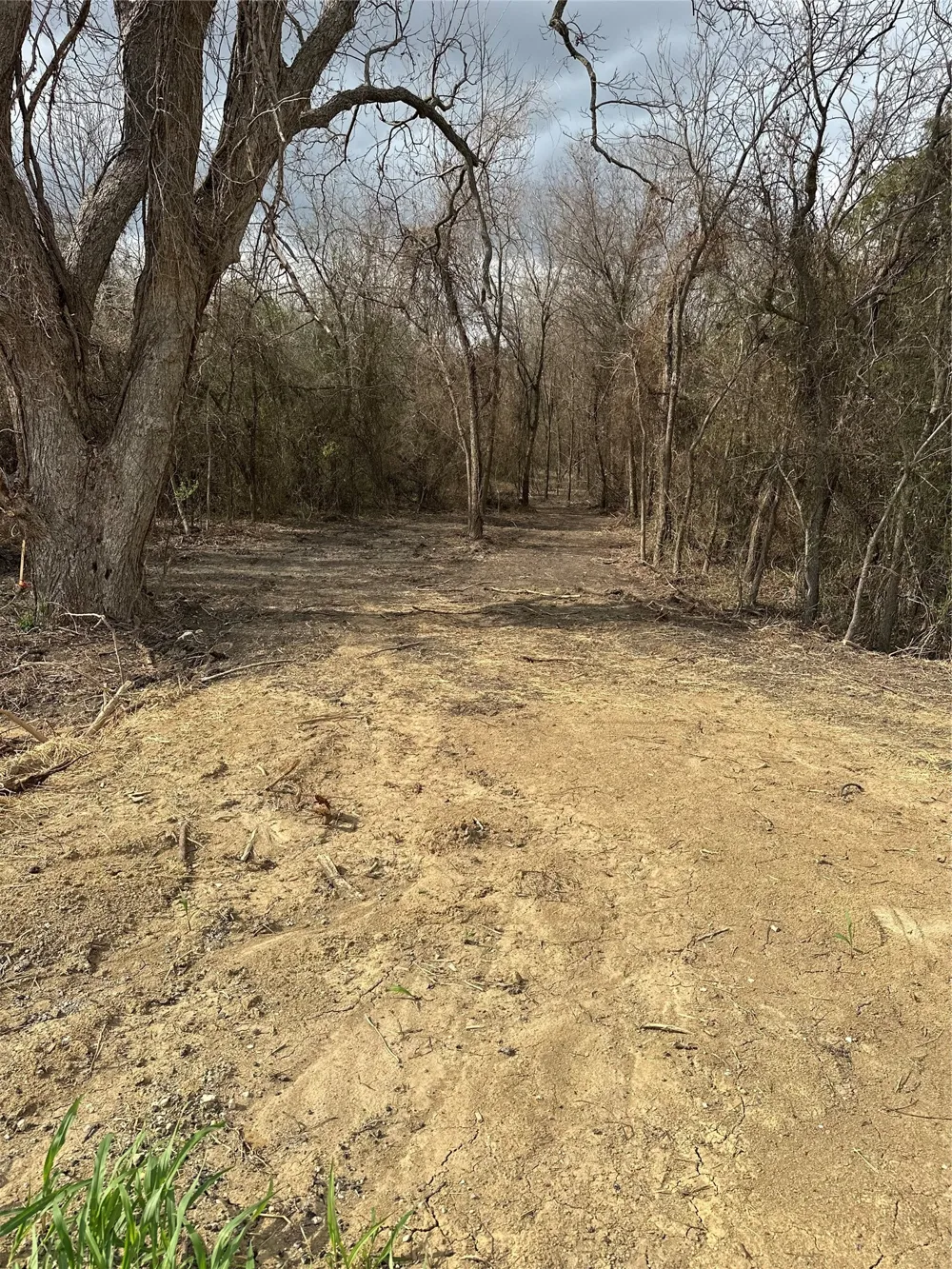 Sandswitch Road Ennis, TX 75119