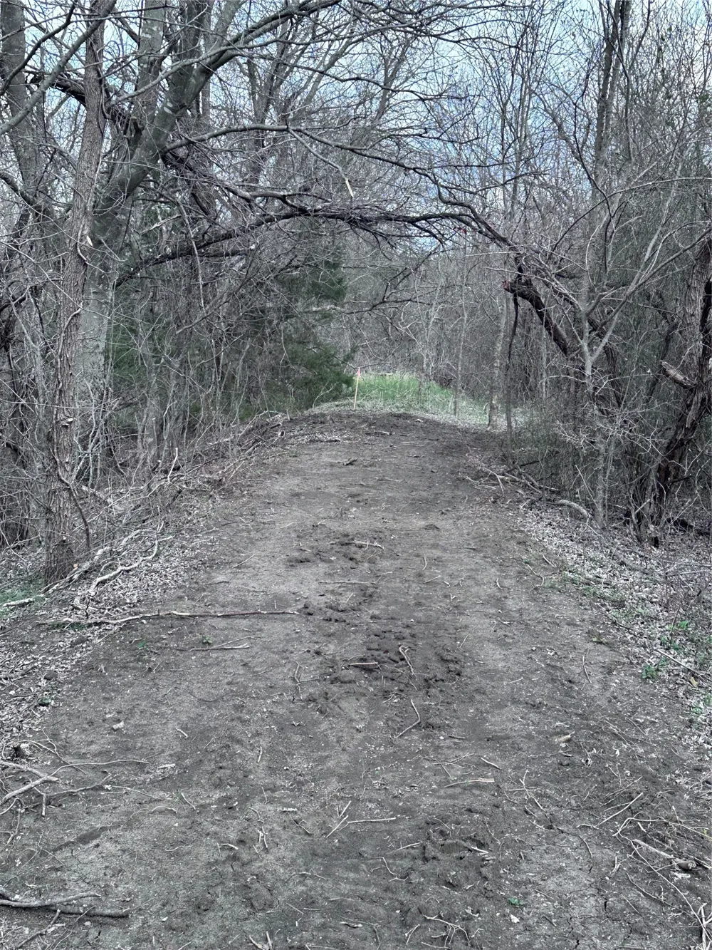 Sandswitch Road Ennis, TX 75119
