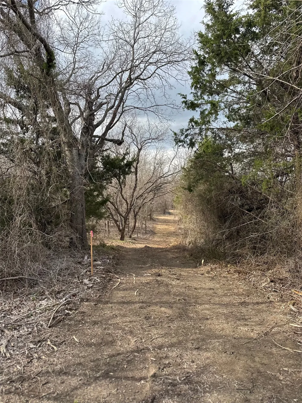 Sandswitch Road Ennis, TX 75119
