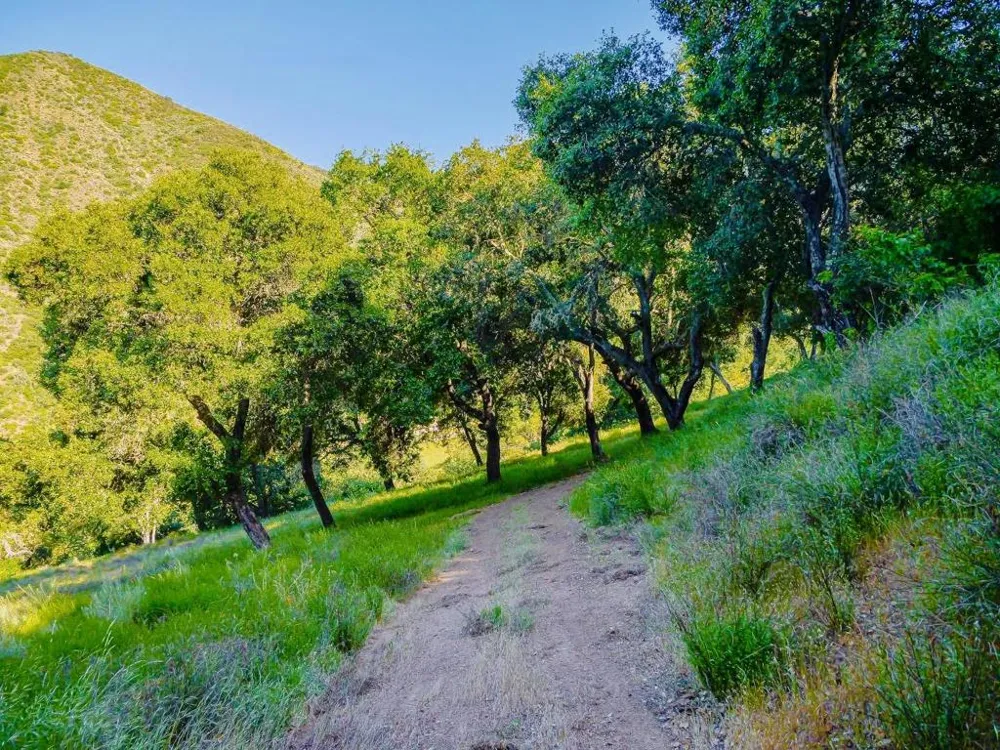 30010 Olivia Drive Greenfield, CA 93927