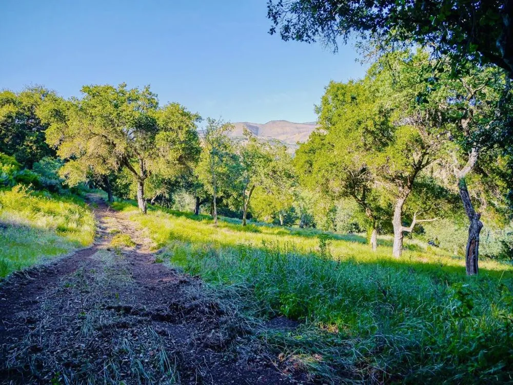 30010 Olivia Drive Greenfield, CA 93927