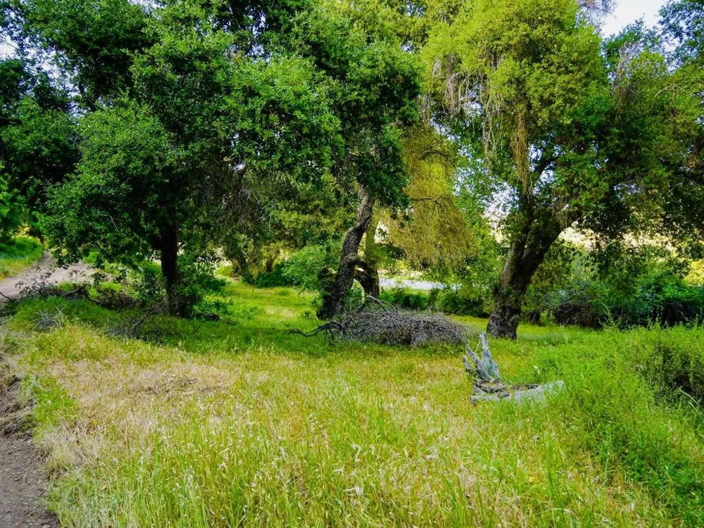 30010 Olivia Drive Greenfield, CA 93927
