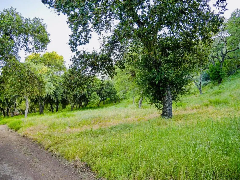 30010 Olivia Drive Greenfield, CA 93927