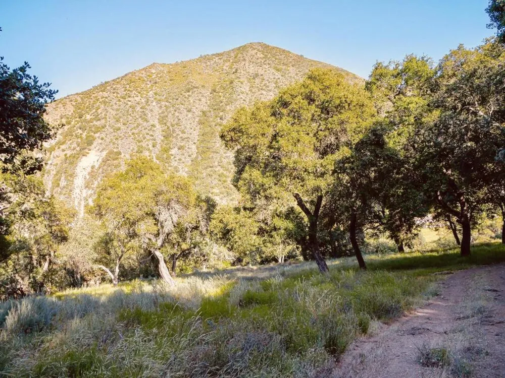 30010 Olivia Drive Greenfield, CA 93927