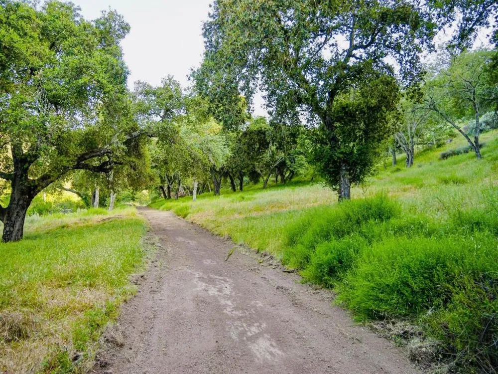 30010 Olivia Drive Greenfield, CA 93927