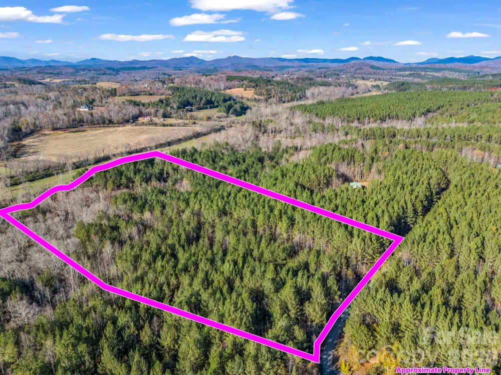 0 Farmer Johns Trail #9 Rutherfordton, NC 28139