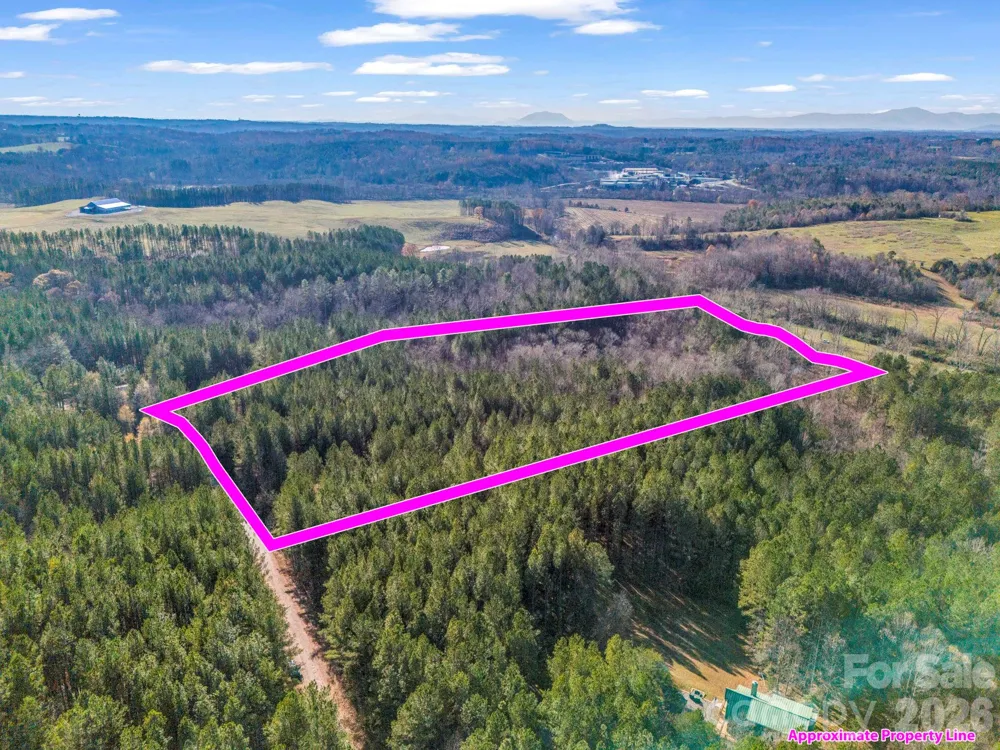 0 Farmer Johns Trail #9 Rutherfordton, NC 28139