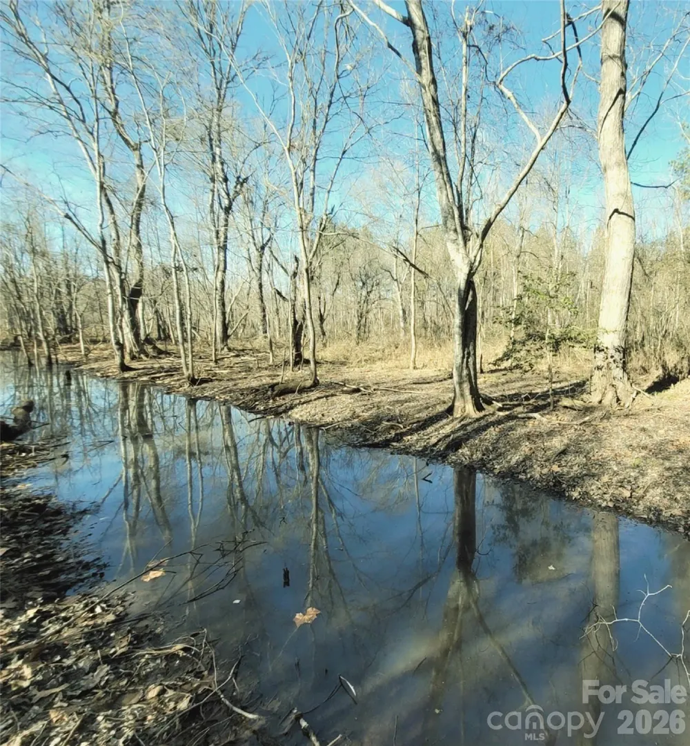 0 Farmer Johns Trail #9 Rutherfordton, NC 28139