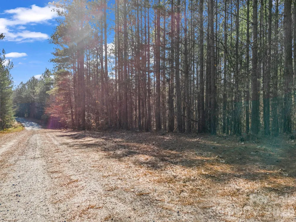 0 Farmer Johns Trail #9 Rutherfordton, NC 28139