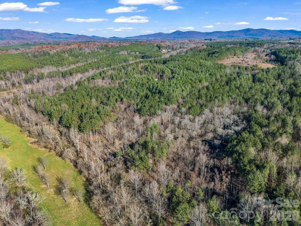 0 Farmer Johns Trail #9 Rutherfordton, NC 28139