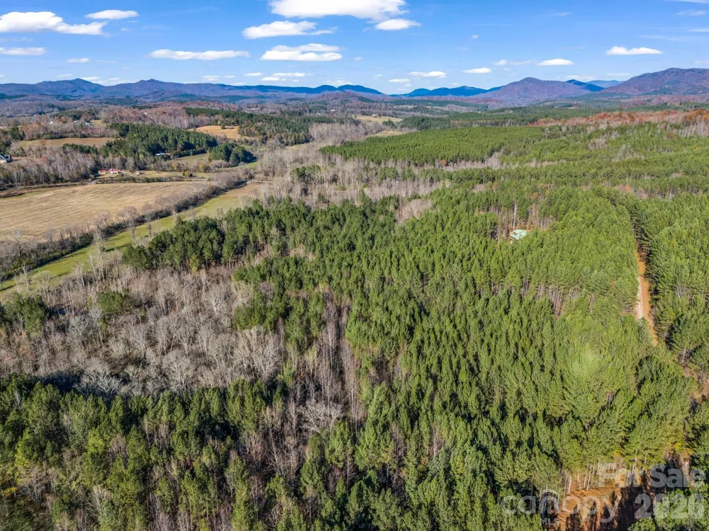 0 Farmer Johns Trail #9 Rutherfordton, NC 28139