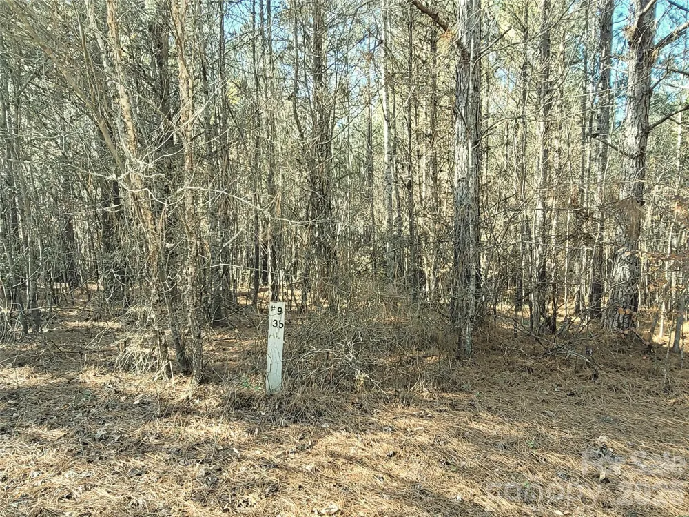 0 Farmer Johns Trail #9 Rutherfordton, NC 28139