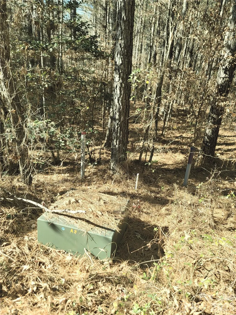 0 Farmer Johns Trail #9 Rutherfordton, NC 28139