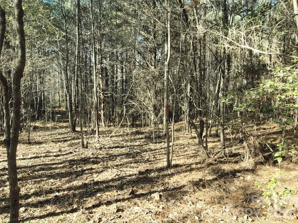 0 Farmer Johns Trail #9 Rutherfordton, NC 28139