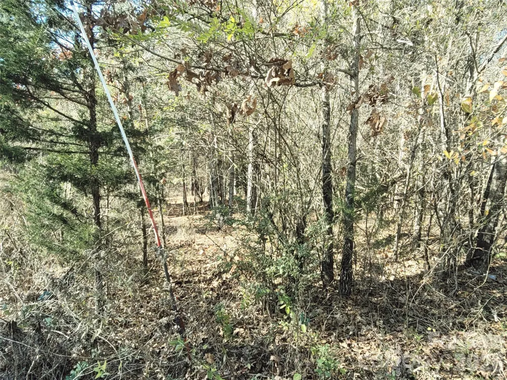 0 Farmer Johns Trail #9 Rutherfordton, NC 28139