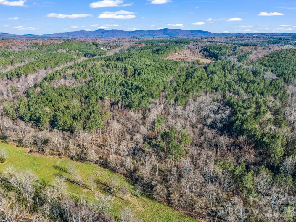 0 Farmer Johns Trail #9 Rutherfordton, NC 28139