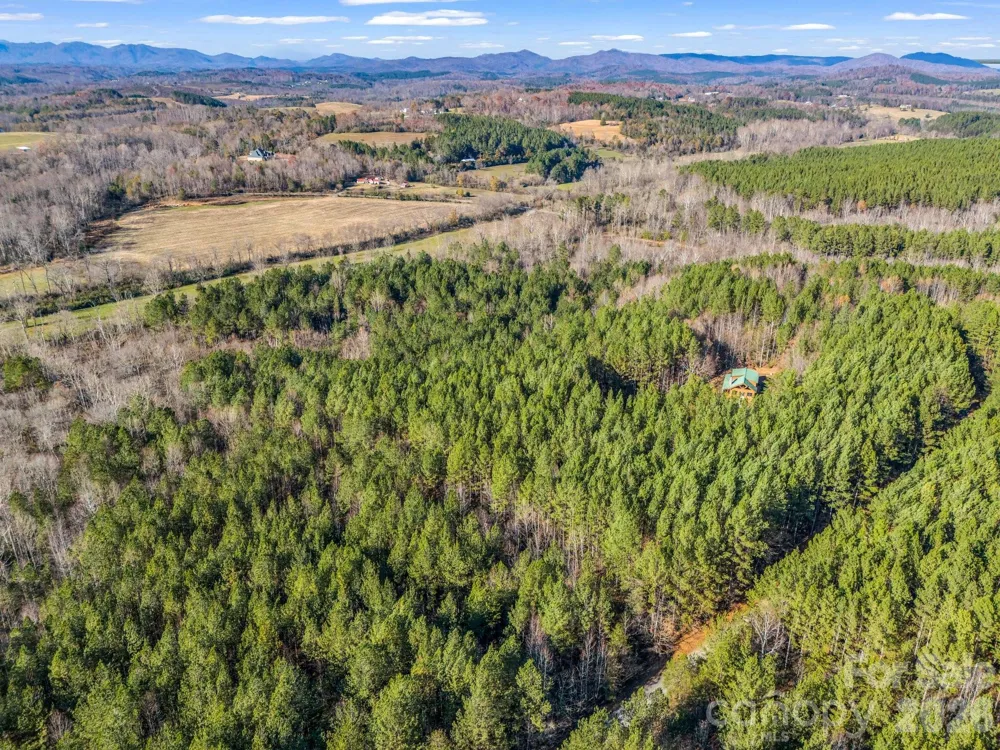 0 Farmer Johns Trail #9 Rutherfordton, NC 28139