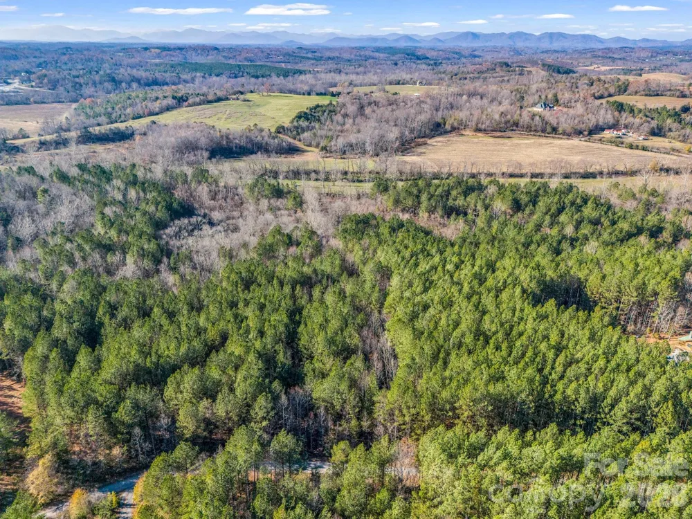 0 Farmer Johns Trail #9 Rutherfordton, NC 28139