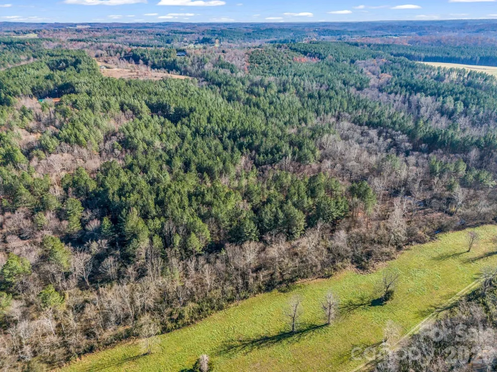 0 Farmer Johns Trail #9 Rutherfordton, NC 28139