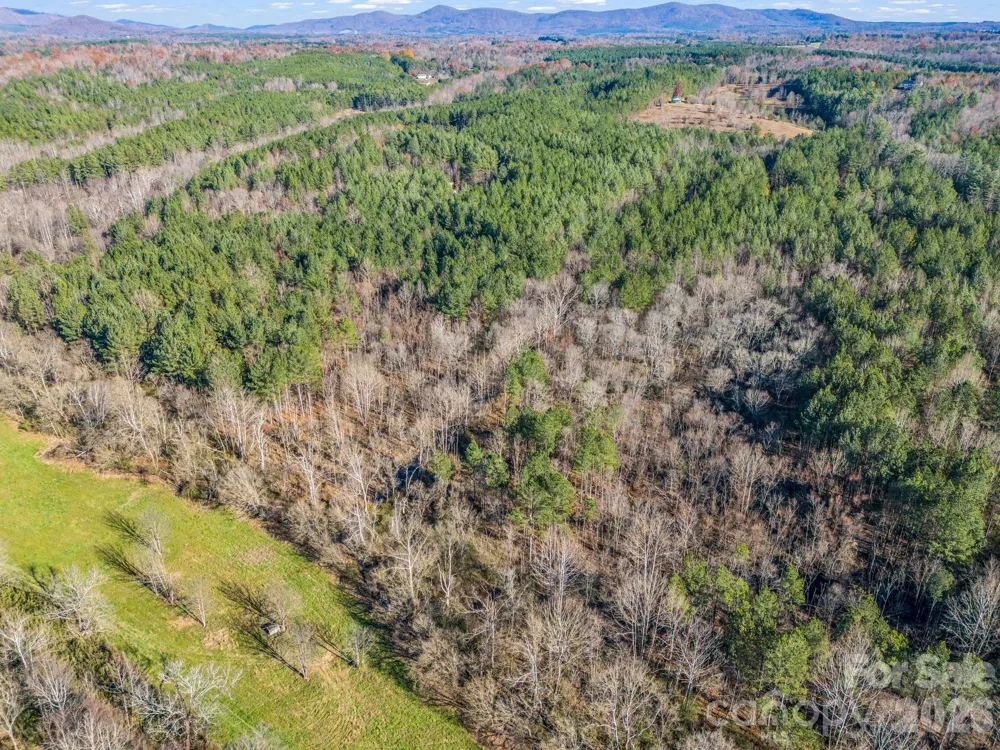 0 Farmer Johns Trail #9 Rutherfordton, NC 28139