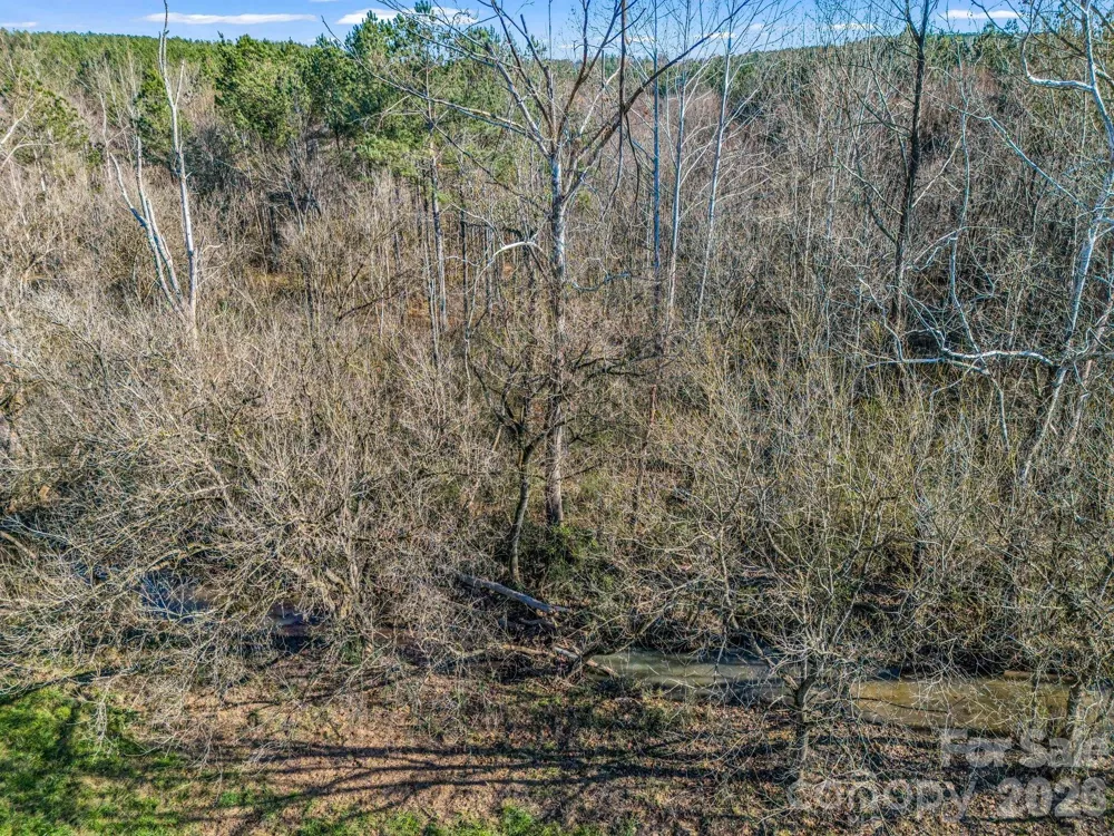 0 Farmer Johns Trail #9 Rutherfordton, NC 28139