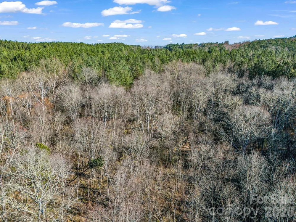 0 Farmer Johns Trail #9 Rutherfordton, NC 28139