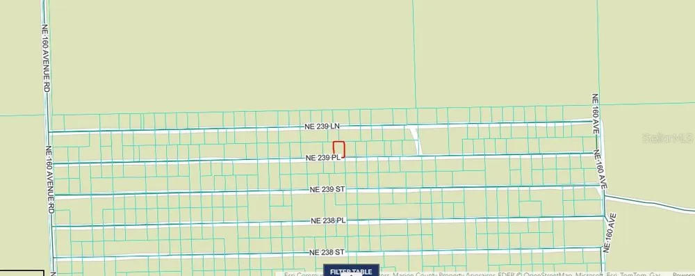 NE 243RD PLACE RD Fort Mc Coy, FL 32134