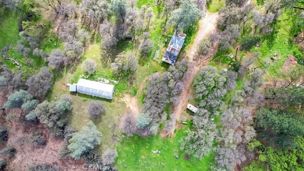 10447 Texas Hill Road Dobbins, CA 95935