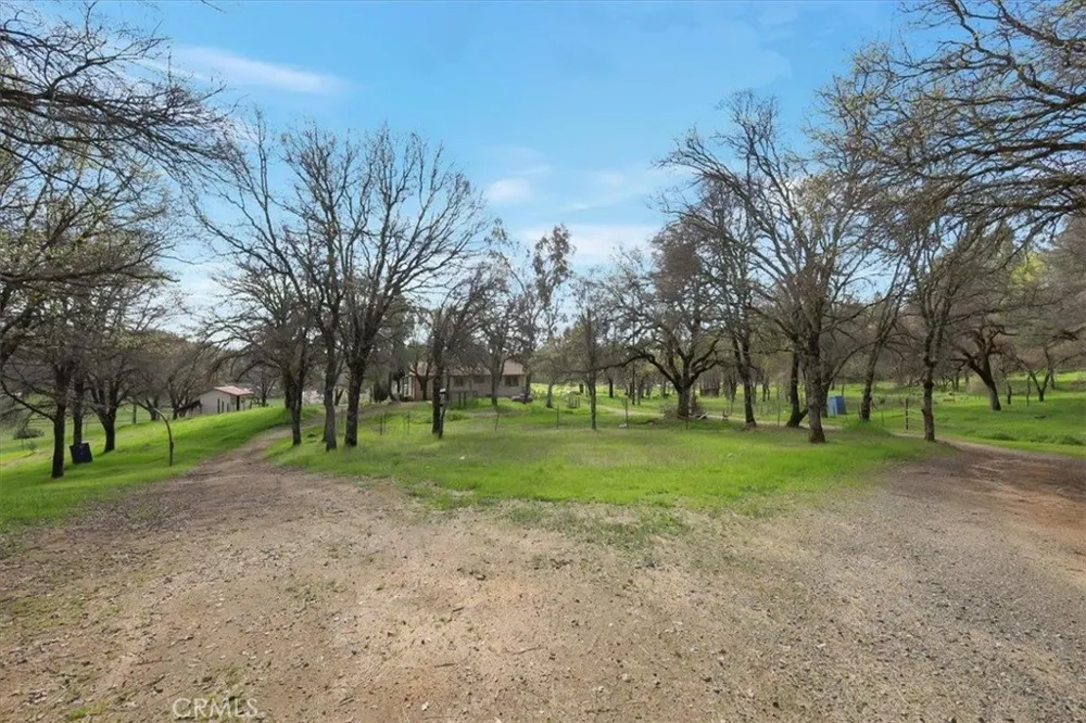 10447 Texas Hill Road Dobbins, CA 95935