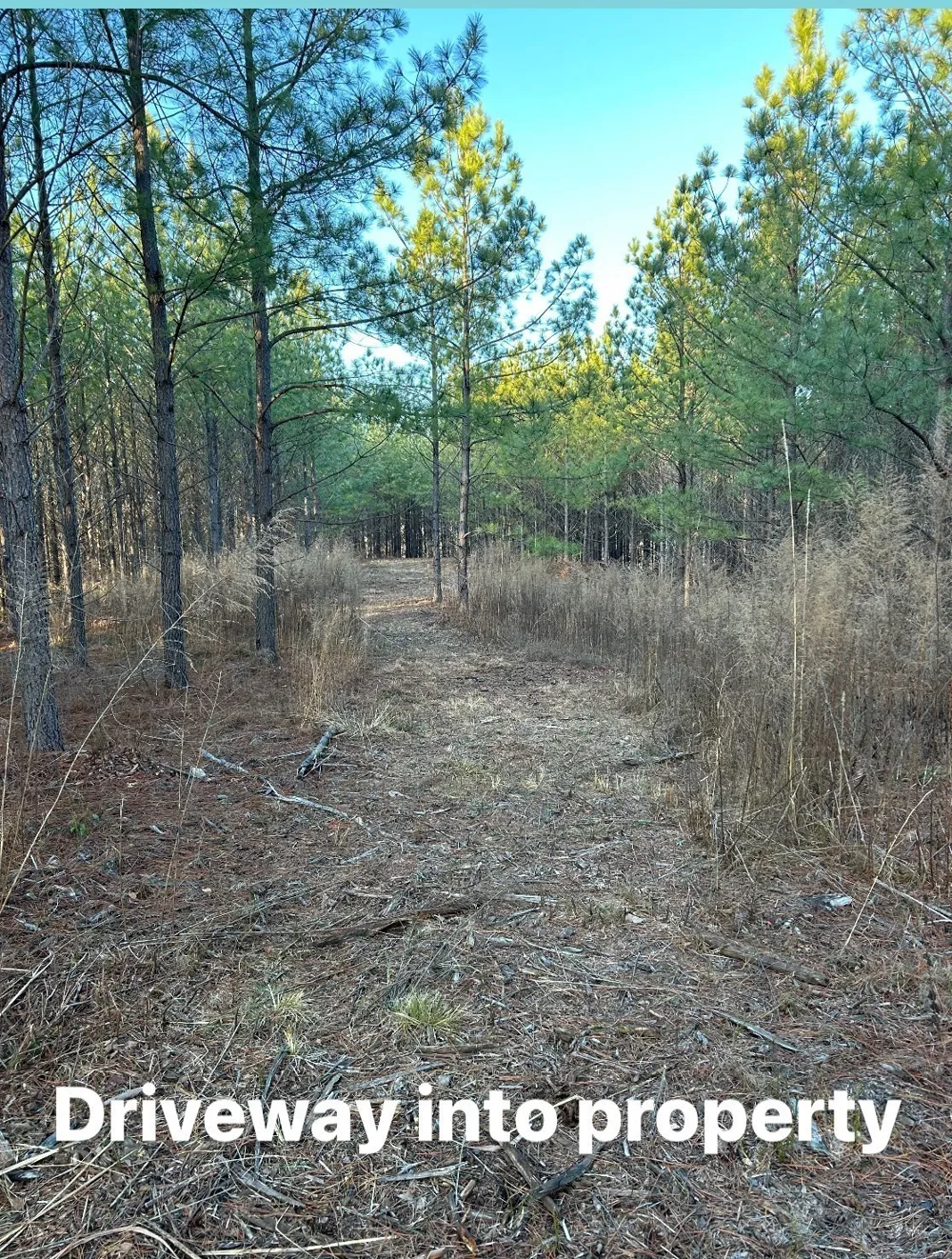 210 Ridgewood Dr Linden, TN 37096