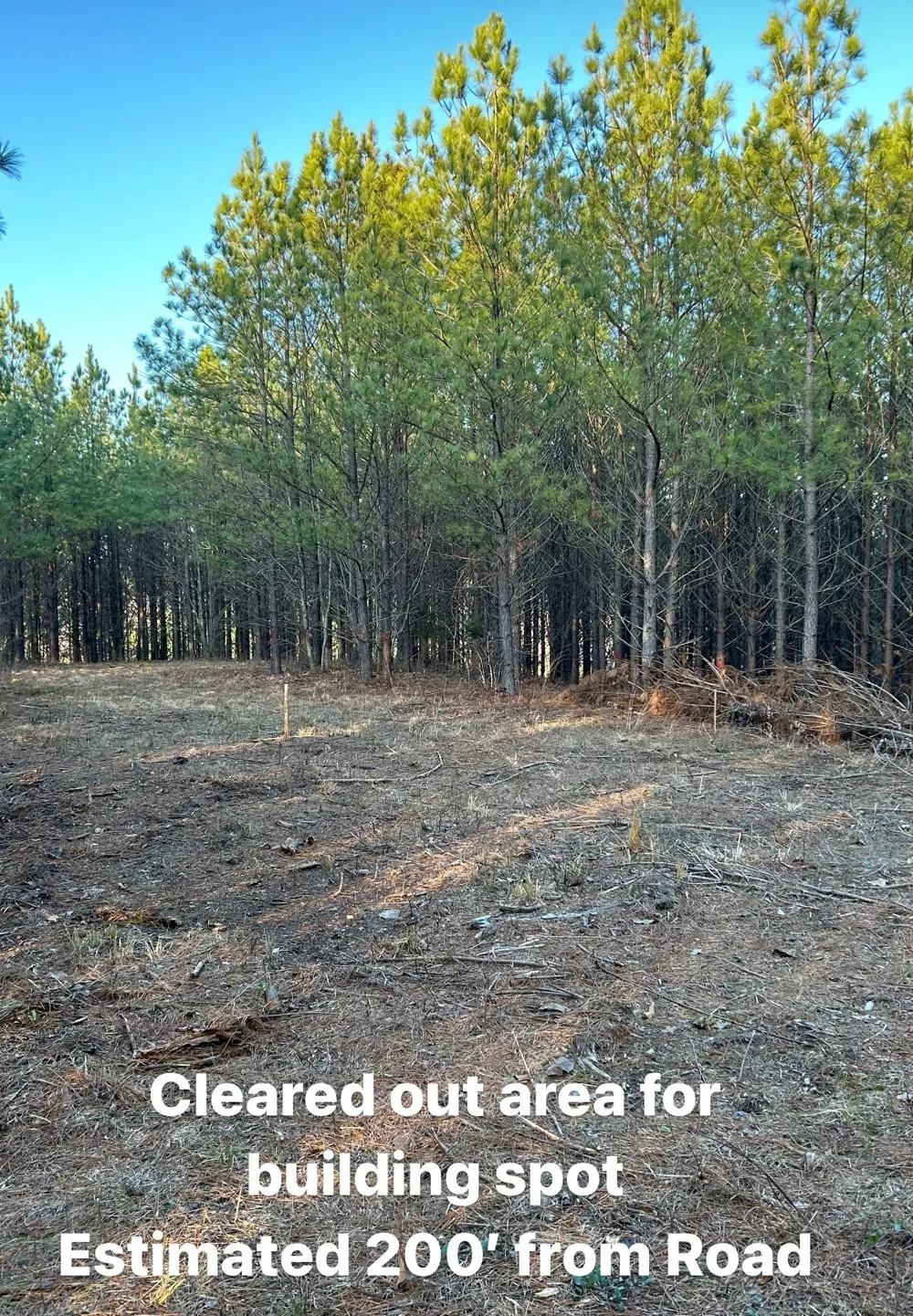 210 Ridgewood Dr Linden, TN 37096