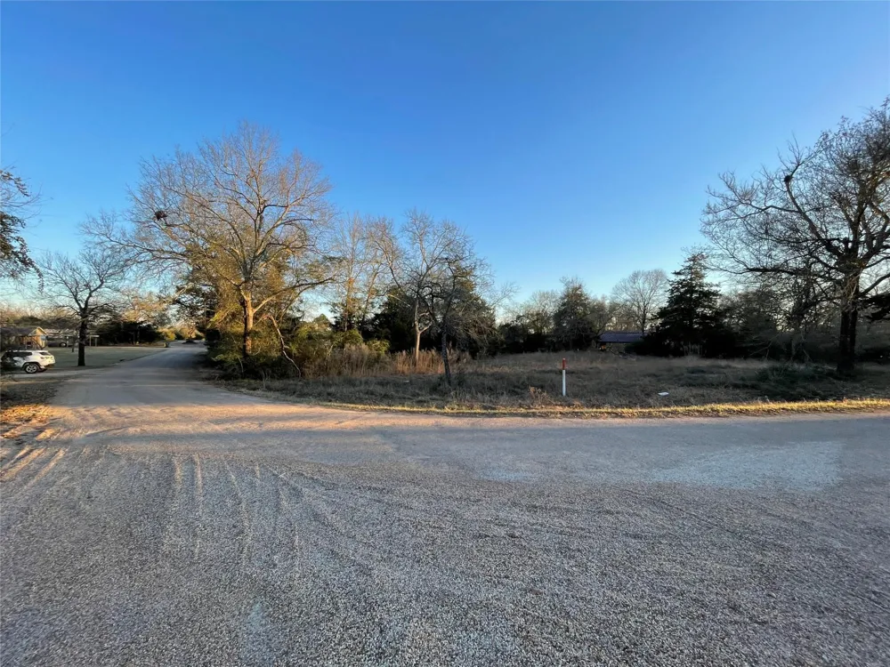 Golfclub Drive Hilltop Lakes, TX 77871