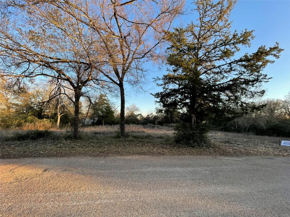 Golfclub Drive Hilltop Lakes, TX 77871