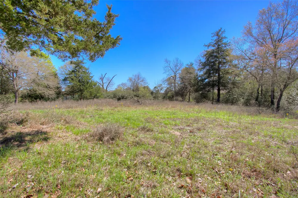 Golfclub Drive Hilltop Lakes, TX 77871
