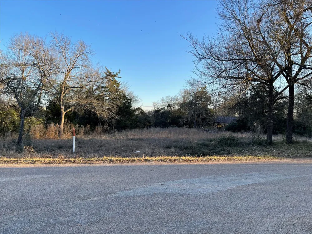 Golfclub Drive Hilltop Lakes, TX 77871