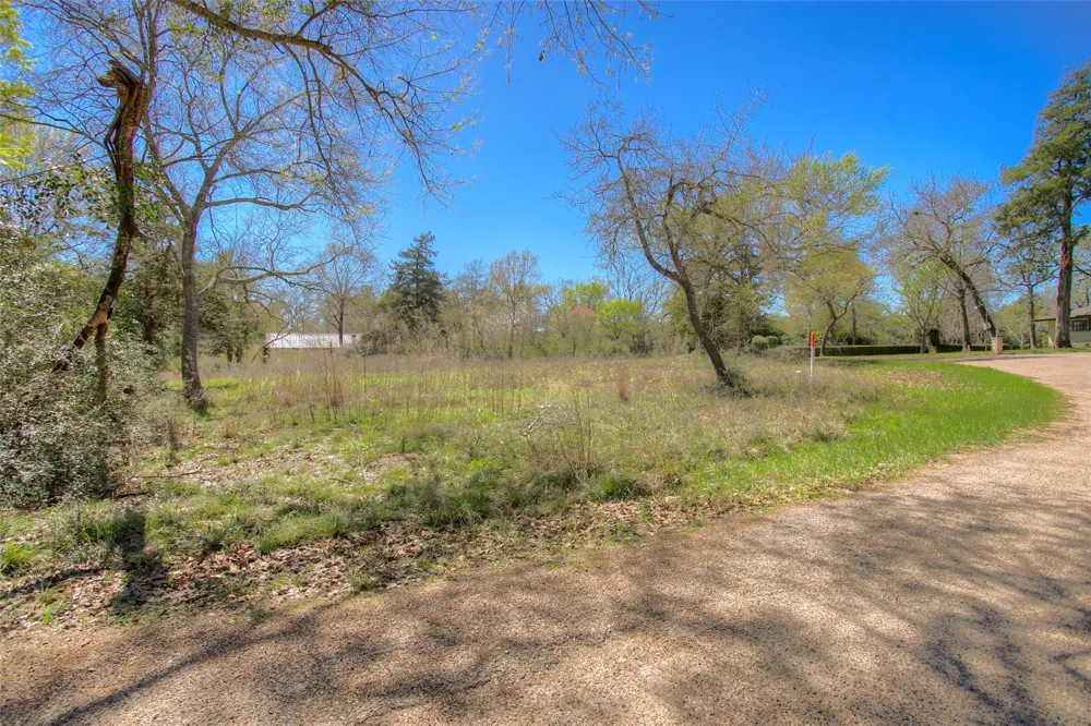 Golfclub Drive Hilltop Lakes, TX 77871