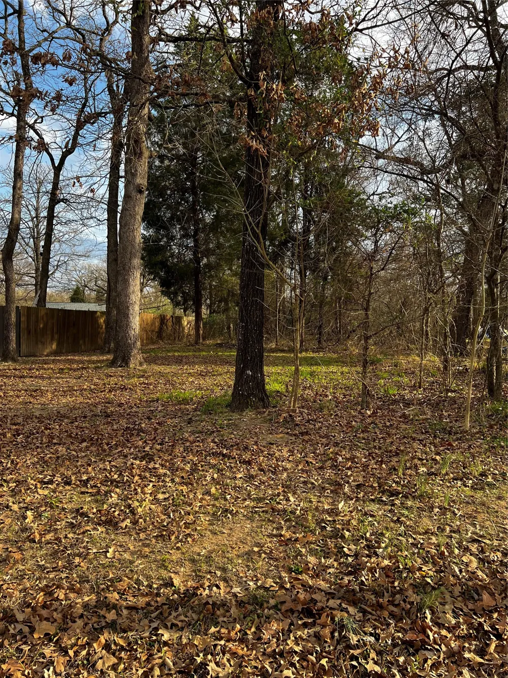 West Travis Lane W Log Cabin, TX 75148