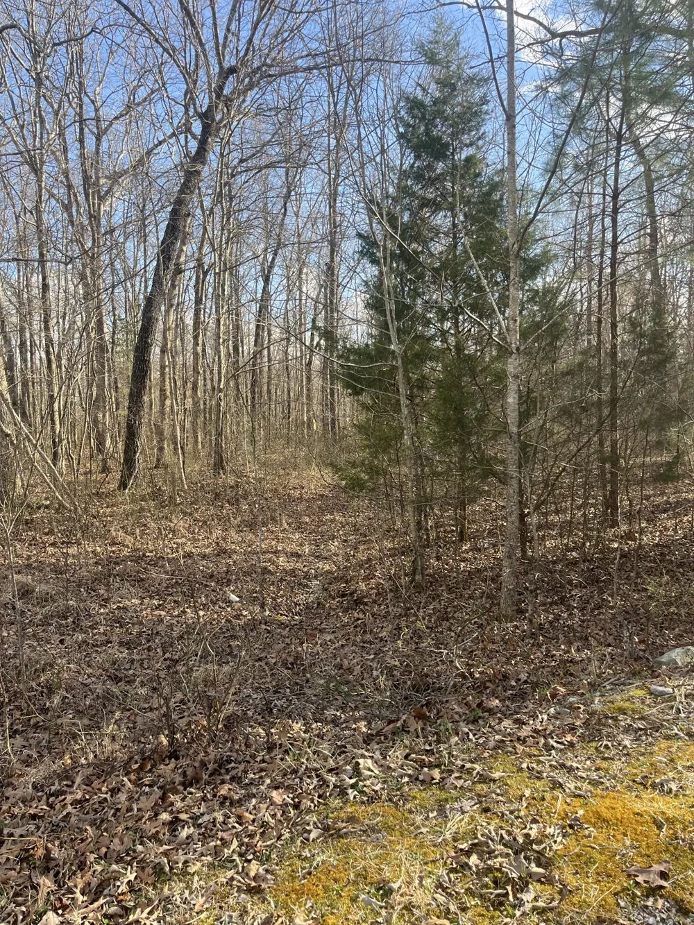 0 Boyton Valley Rd Manchester, TN 37355