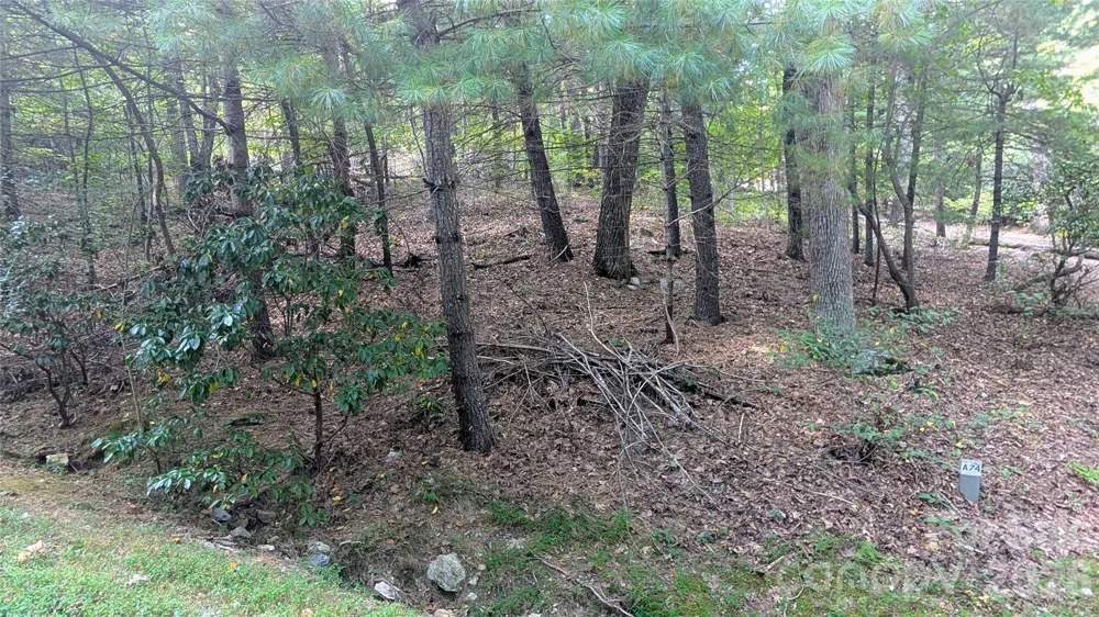 101 Scenic Drive #74 Flat Rock, NC 28731