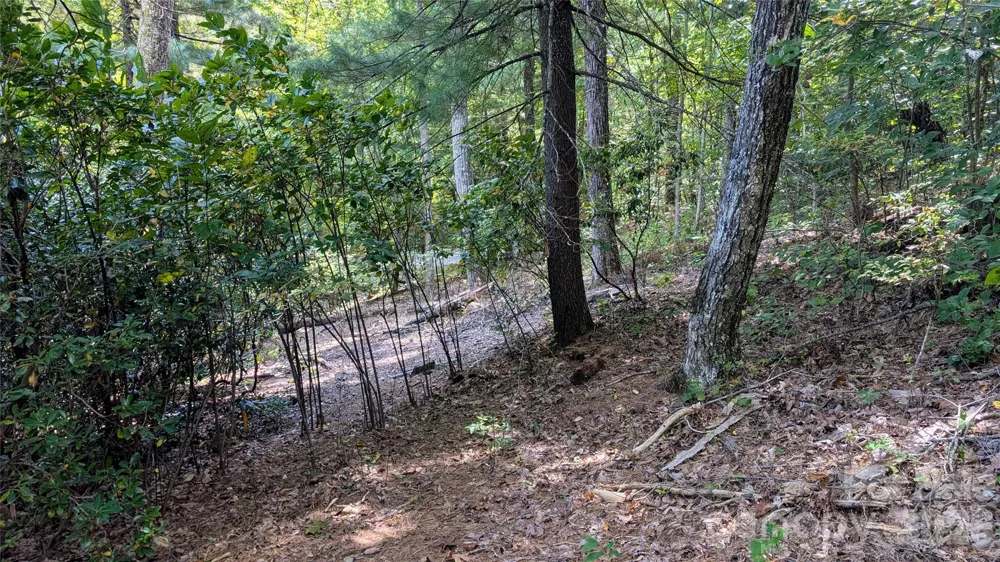 101 Scenic Drive #74 Flat Rock, NC 28731