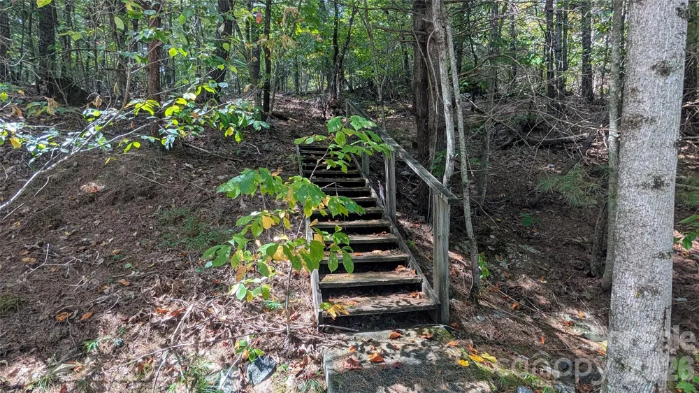 101 Scenic Drive #74 Flat Rock, NC 28731