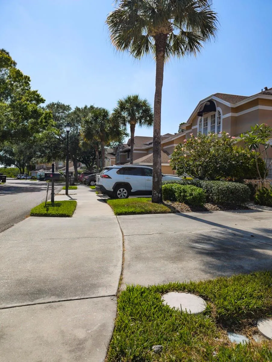 3077 BRANCH DRIVE Clearwater, FL 33760