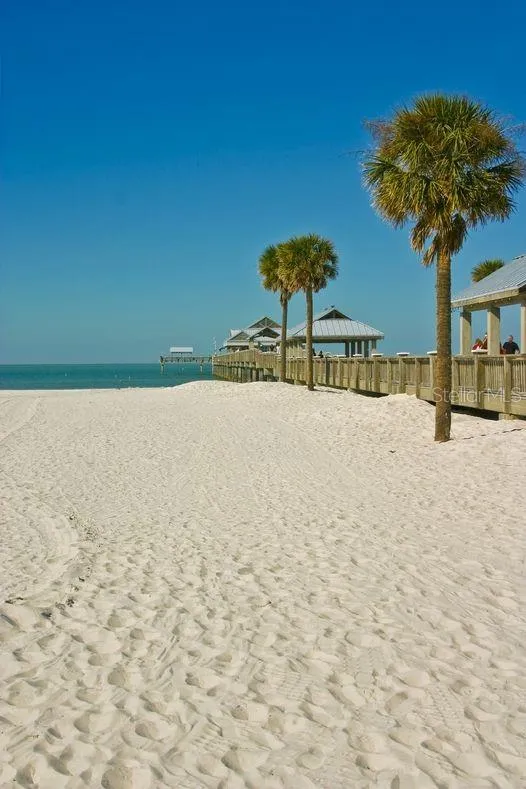 3077 BRANCH DRIVE Clearwater, FL 33760